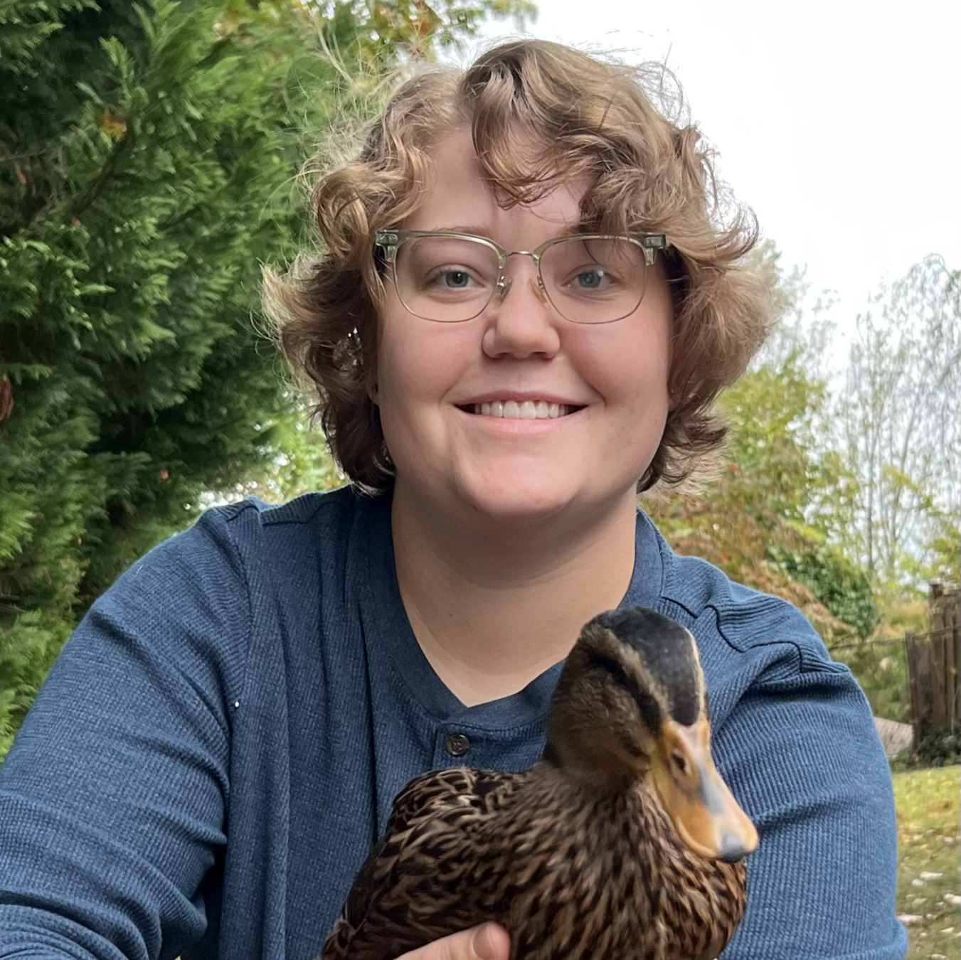 turtle-logo-placeholder