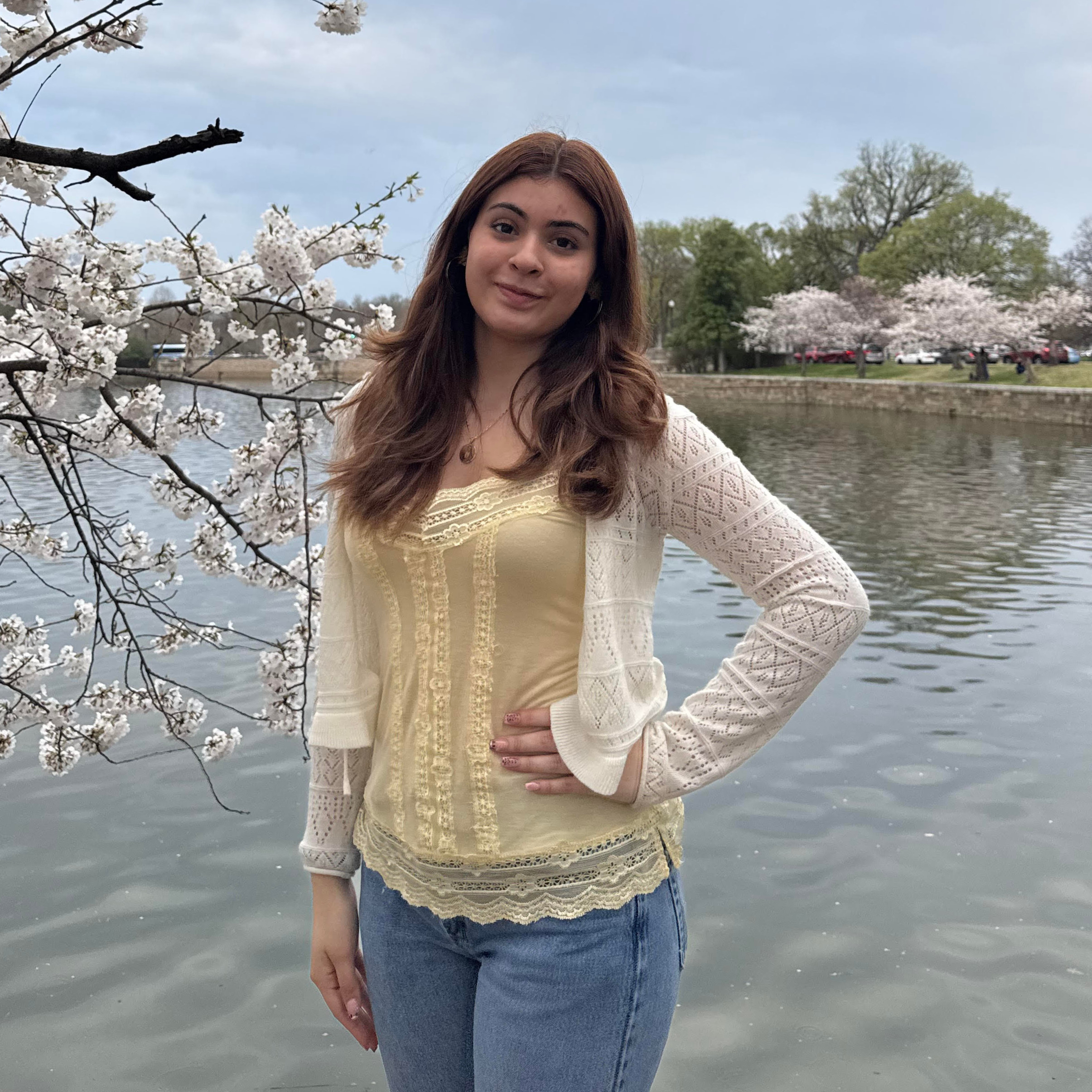 turtle-logo-placeholder