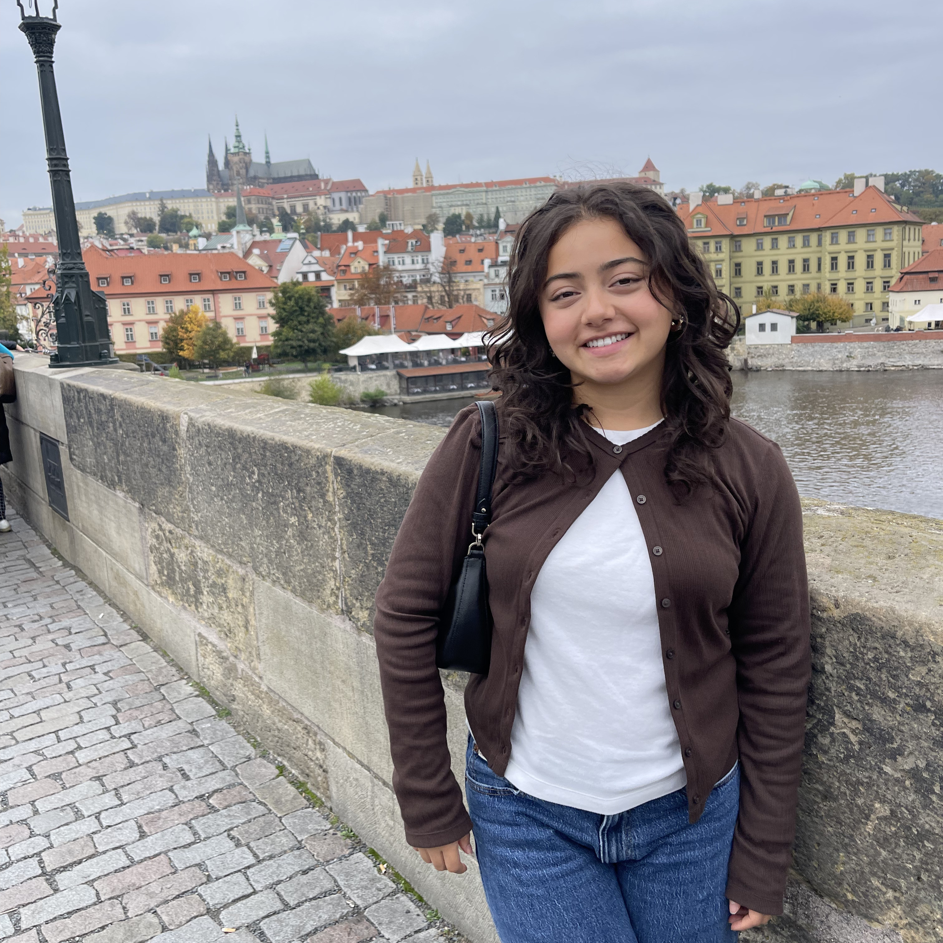 turtle-logo-placeholder